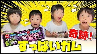 【奇跡？！】3個に1個超すっぱいガム 対決をしたらミラクルが起きた！【ファミリーYouTuberコラボ】