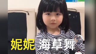 海草舞 妮妮跳海草舞