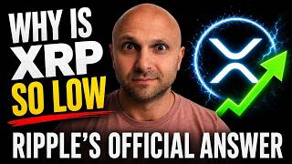 XRP News Today: Ripple Finally Answers Why XRP Price Is Low & EDX Changes Everything