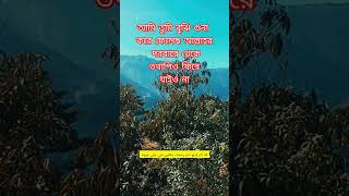 আমি তুমি বুঝি গুনা করে ফেলেছ আল্লাহর দরবারে থেকে তথাপিও ফিরে যাইও না 💔 #Islamic_short_video waz