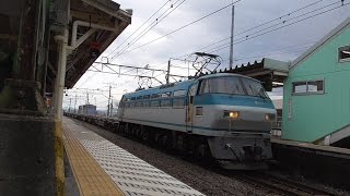 【豪快なジョイント音】EF66-113牽引貨物 東海道線根府川通過