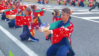 彩夏祭2024 前夜祭　朝霞駅南口　リゾンなるこ会飛鳥