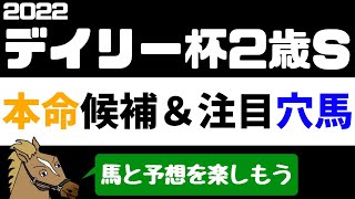 【デイリー杯2歳ステークス2022 予想】注目馬紹介 本命候補と注目穴馬【バーチャルサラブレッド・リュウタロウ/競馬Vtuber】