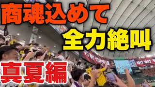 【阪神ファン大合唱】真夏でも商魂込めてを全力絶叫する阪神ファン！【※視聴者提供】2023年8月8日阪神対巨人