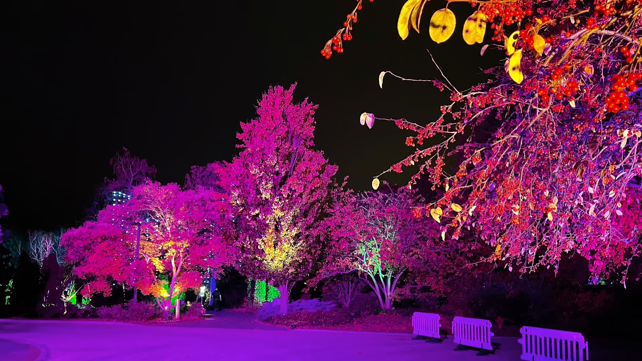 LightScape 2021 At Chicago Botanic Garden - YouTube