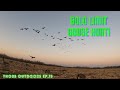 UNREAL Solo Goose Hunt! Geese Landing at 5 Yards! (Small Spread)