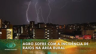 Incidência de raios no Brasil gera prejuízo a criadores de gado | Agro Band