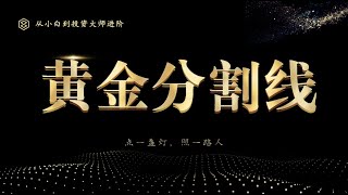 外汇黄金黄金分割实战交易技巧,外汇高手进阶之路,“黄金分割”在实战中的运用