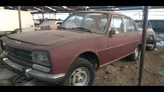 Forgotten Peugeot 504 505 GTI