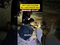 小轿车雪地打滑深夜被困，热心小姐姐用绳索帮忙脱困。张女士：遇到就是缘分，举手之劳。