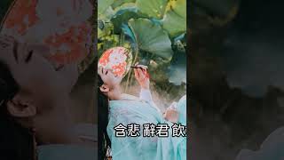 聞人聽書 - 虞兮嘆  《垓下一曲離亂,楚歌聲四方,含悲辭君飲劍血落凝寒霜》【動態歌詞Lyrics