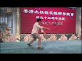 龍形董建光師父 毒蛇舔脷 @ 2017 香港太極梅花螳螂拳總會會慶 龍形拳 dragon_style 傳統武術 martialarts kungfu