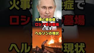 森林火災と感染症でロシア軍の墓場と化すヘルソンの惨状#ロシア #プーチン #ヘルソン #ショート #ゆっくり解説