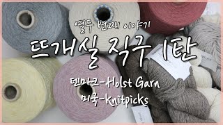 [열두 번째]뜨개실 직구 1탄-덴마크 콘사 Holst Garn \u0026 미국 Knitpicks