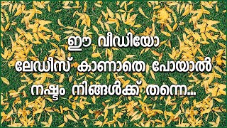 ഈ വീഡിയോ ലേഡീസ് കാണാതെ പോയാൽ നഷ്ടം നിങ്ങൾക്ക് തന്നെ