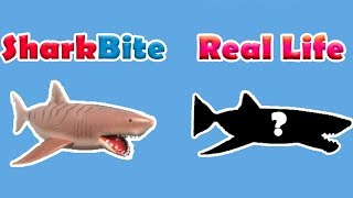 Using Most Expensive Boat Destroyer Roblox Sharkbite - roblox shark bite fishing boat