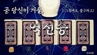 [타로카드] ‘그러함에도 불구하고, 당신이 이룰 놀라운 성취. {:키 카드\u0026세상의 조언}’