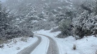 Kıbrıs/Cyprus Girne Alev Kayası Beşparmak Dağları Kar yağışı Ormanda yürüyüş/ in Kyrenia Snowy Day