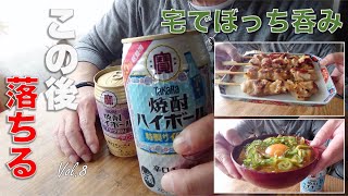 【上戸の事情】朝から宅呑み Vol.8 - タカラ焼酎ハイボールと焼酎湯割、シメのカレー丼喰らって後に落ちる