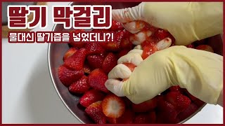 물대신 딸기즙을 넣어만든 딸기막걸리! 진짜 미친맛