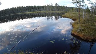 Карелия. На рыбалку в любимые места. Часть 2.