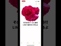 iphoneでできる加工〜画像の切り抜き方