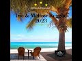 Irie & Mellow Reggae Mix: Bushman, Bitty MClean, Beres Hammond, Sanchez, Benjy Myaz, Mikey Spice