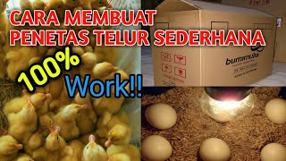MEMBUAT ALAT TETAS TELUR SENDIRI SEDERHANA DARI KARDUS, Cepat & Mudah| how to make an egg hatcher