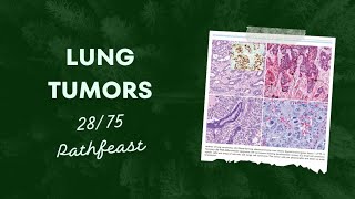 Lung tumours | Day 28/ 75 | PATHFEAST