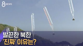 김여정 담화, 북한이 화난 진짜 이유는? / SBS