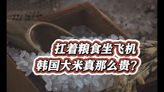 一看就懂 | 扛着粮食坐飞机 韩国大米真那么贵？ #一看就懂 #看看新闻news