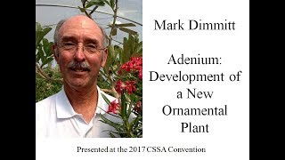 Mark Dimmitt \