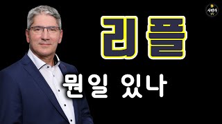 리플.. 갑자기.. 뭔 일 있나