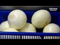 만두 장인의 칼로 자른 만두피 부추만두 의정부 조경제 만두쟁이 knife cutting green dumplings skin master korean street food