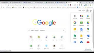 Citing Badgerlink