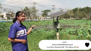 แนะนำสถานที่ภายในโรงเรียนเมืองตลุงพิทยาสรรพ์ |จัดทำโดย นางสาวณิชา หวังหยิบกลาง|