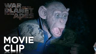 War for the Planet of the Apes | "Bad Ape and Maurice" Clip | 20th Century FOX