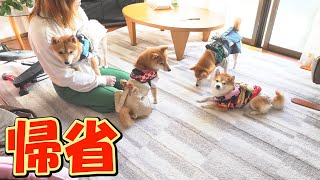 The confused reactions of the four siblings when they received their New Year's gifts were too cute.