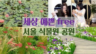 서울 나들이 🌲서울식물원  꼭 가야하는 붓꽃, 연꽃 세상 🍹공기청정 카페(ft.지리산 공기) 서울 데이트 코스 포토스팟 | 강서구 추천 나들이 코스