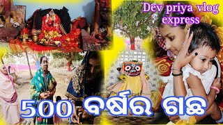 500 ବର୍ଷର ଗଛ 😱|| Dev priya vlog express ||