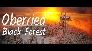 Oberried | Black Forest | Schwarzwald | A Flight Experience