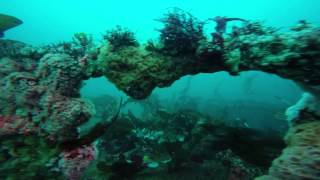 Dive Ruby E 6/14/15