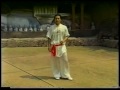 li pei yun teaches wu shu 5 stances combo