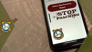 Report Violations
