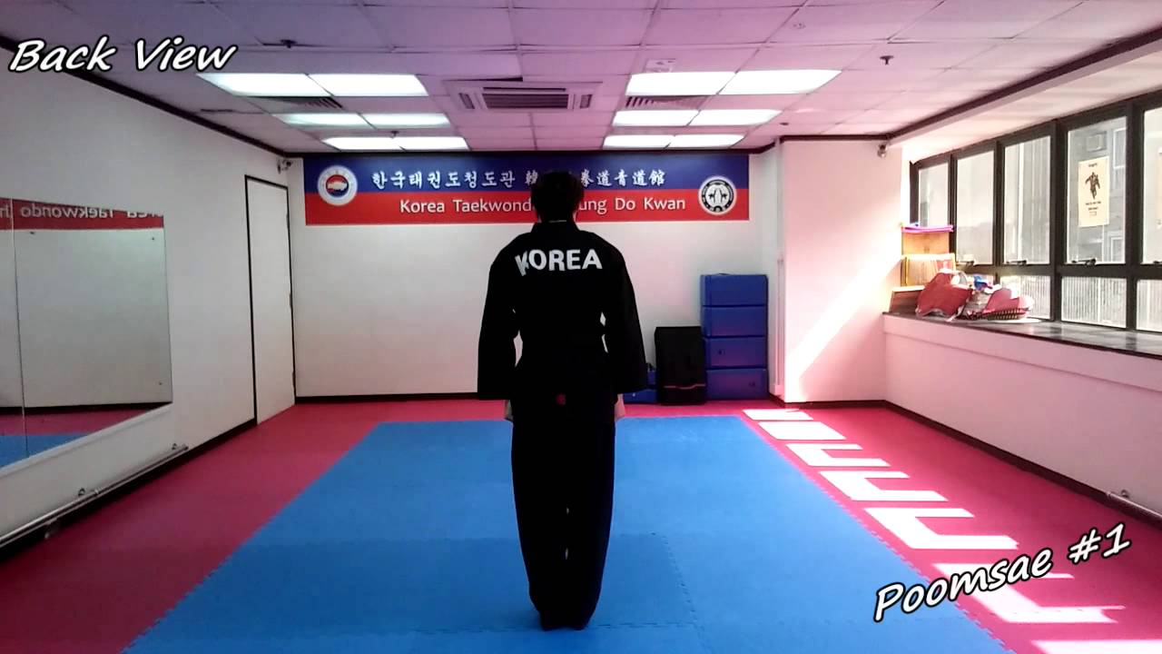 Taekwondo - Poomsae 1 (Il Jang) Slow-motion & Mirror - YouTube