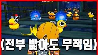 이 카트를 만난다면 지뢰형 카트바디 ☢️절대 타지마세요☢️ (금계 안녕...)