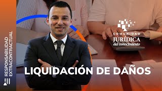 Liquidación de Daños