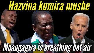 Mnangagwa is breathing hot air - Anything can happen | Hondo yotanga🇿🇼