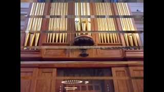 pipe organ in the MET museum