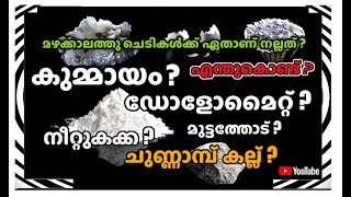 കുമ്മായം,ഡോളോമൈറ്റ്,ചുണ്ണാമ്പ്കല്ല്?മുട്ടത്തോട് ? മഴക്കാലത്തു ചെടികൾക്ക് ഏതാണ്നല്ലത് ?എന്തുകൊണ്ട് ?